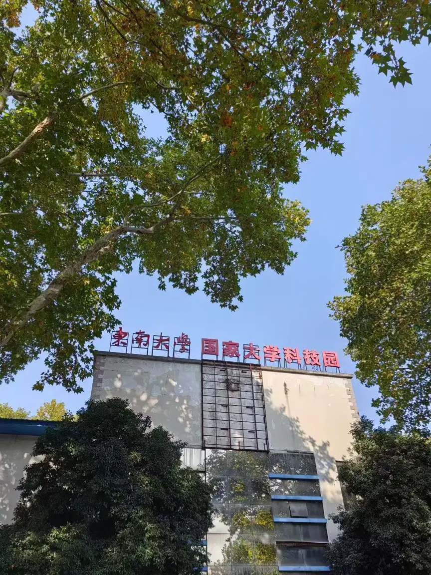园区树木 园区树木