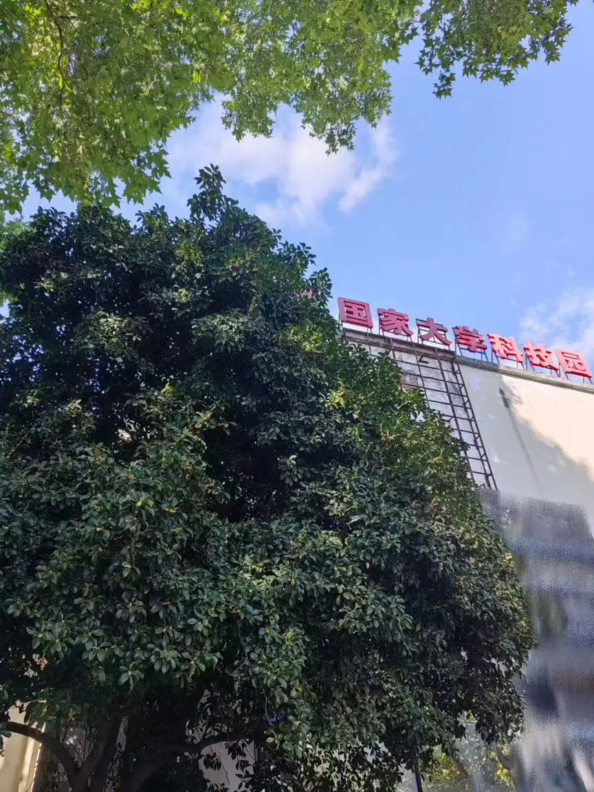 园区办公楼 园区办公楼