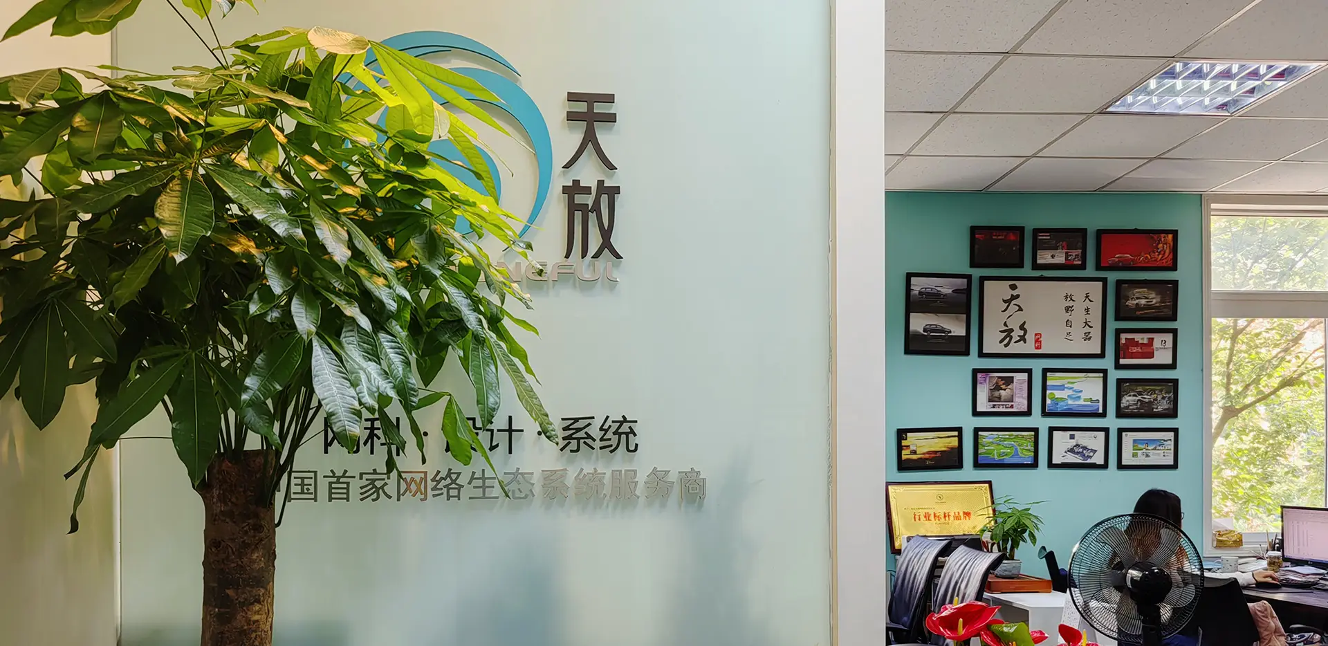 南京天放网络科技有限公司
